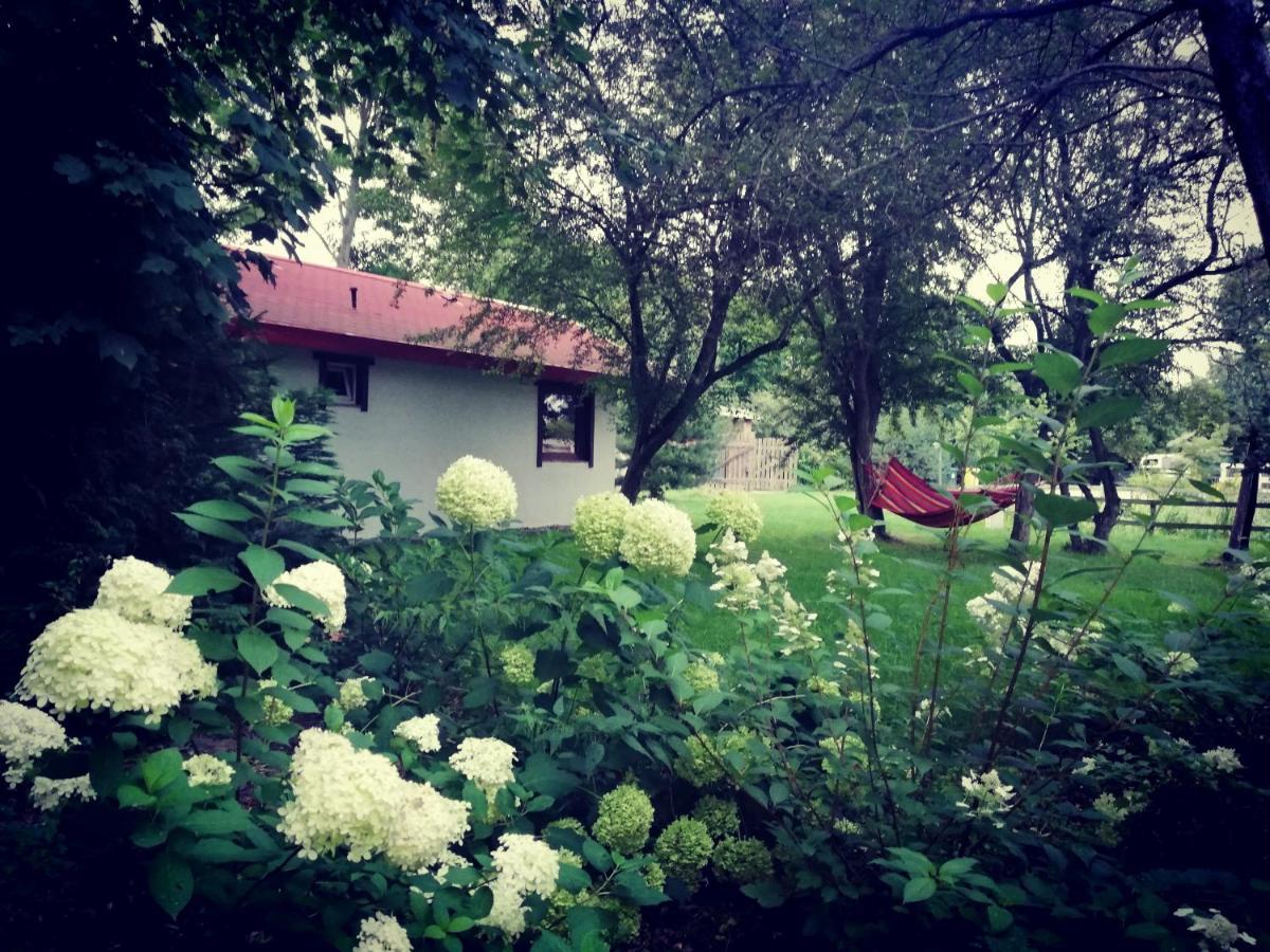 Babie Lato Wlodarka Exterior foto