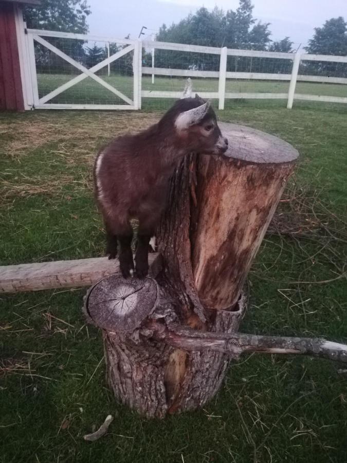 Babie Lato Wlodarka Exterior foto